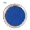 Maquillage à L'eau Bleu Roi 15 Grammes -Halloween Soldes Magasin 276a45cb9978376bf02202d8d61e6809