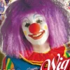 Perruque Clown Unisexe