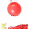 5 Ballons Punch Ball